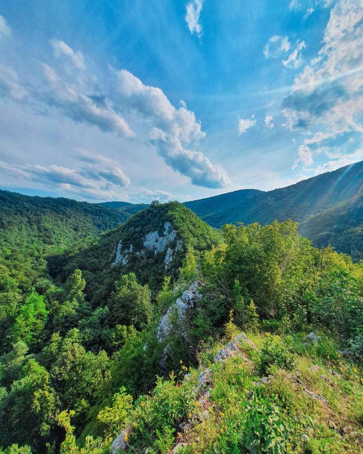 Restoran Sa Prenocistem Gornjak Krepoljin 외부 사진