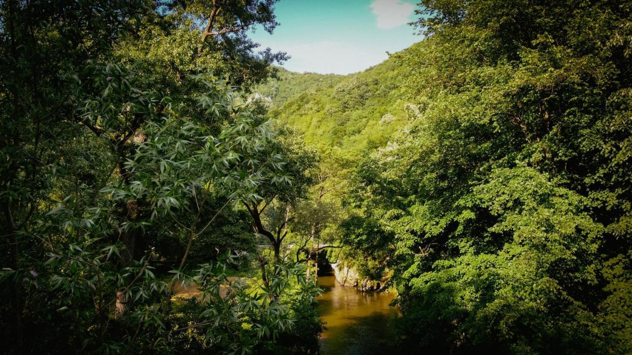 Restoran Sa Prenocistem Gornjak Krepoljin 외부 사진